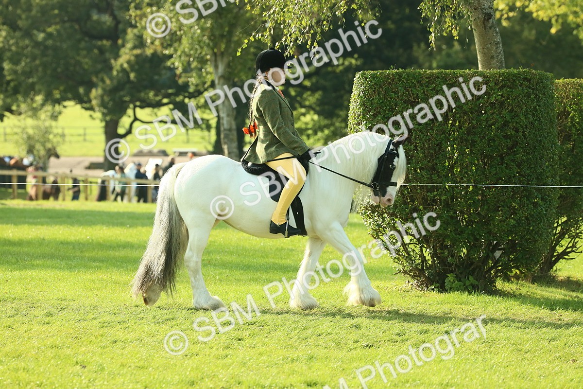SBM_59301 - S38 - Starters Ridden Showing