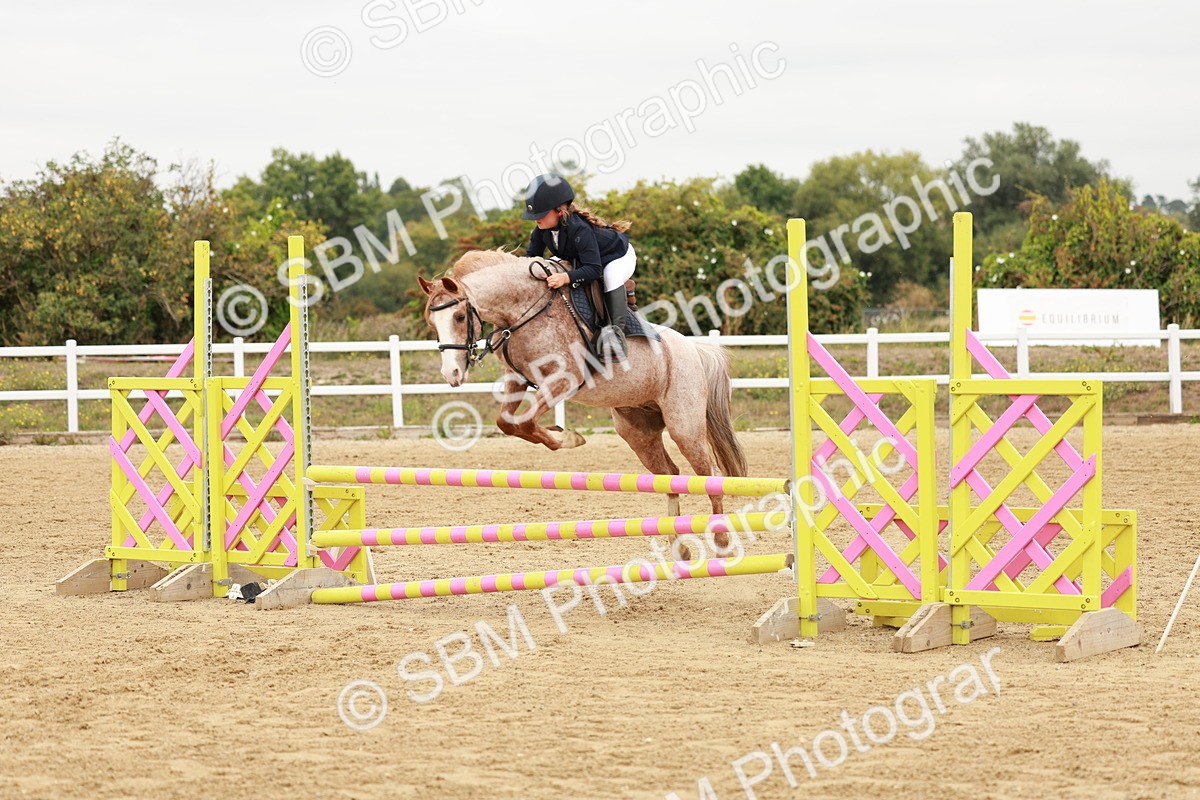 SBM_008256 - Class 5 - 80cm