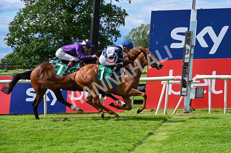 310526-Race 1-Alfred Wallace-7959 - Race 1 15.45pm Enter ITV7 For Free Novice Stakes