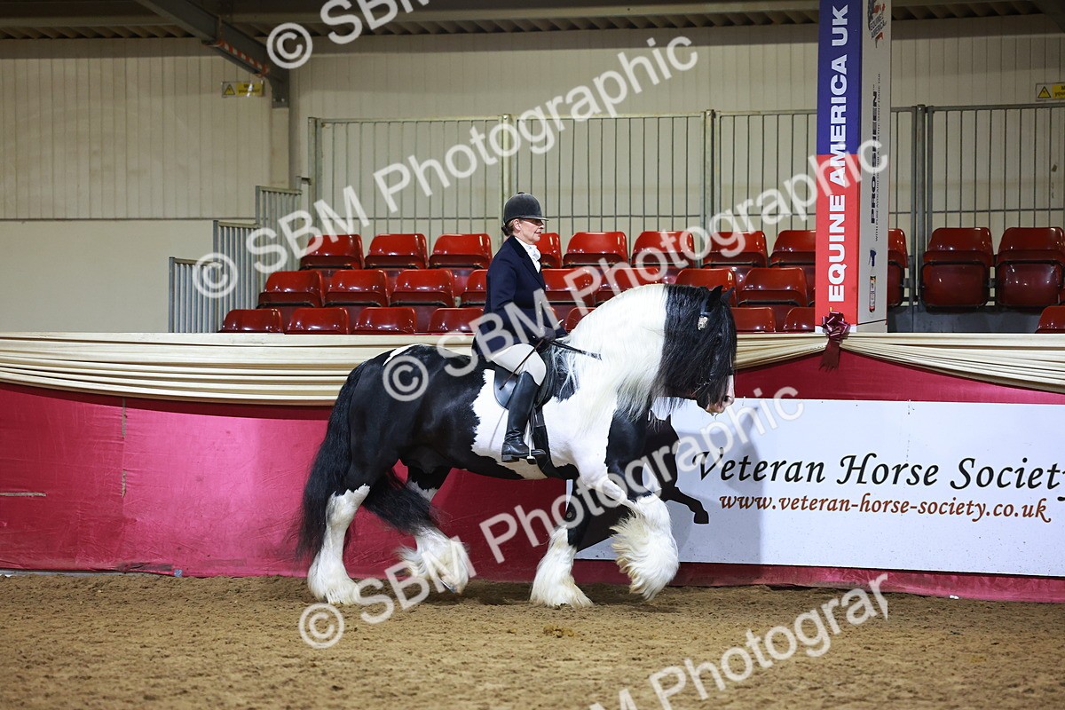 SBM_15496 - Class R - Veteran Champ
