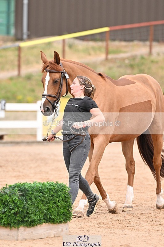 250716-153922-02079 - Trot Up 3.30 to 4.30