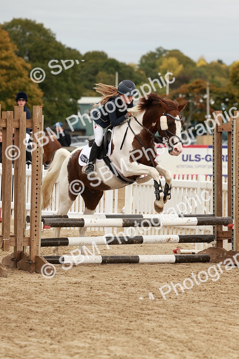 SBM_66873 - J13 - Junior Pony 60cm Championship