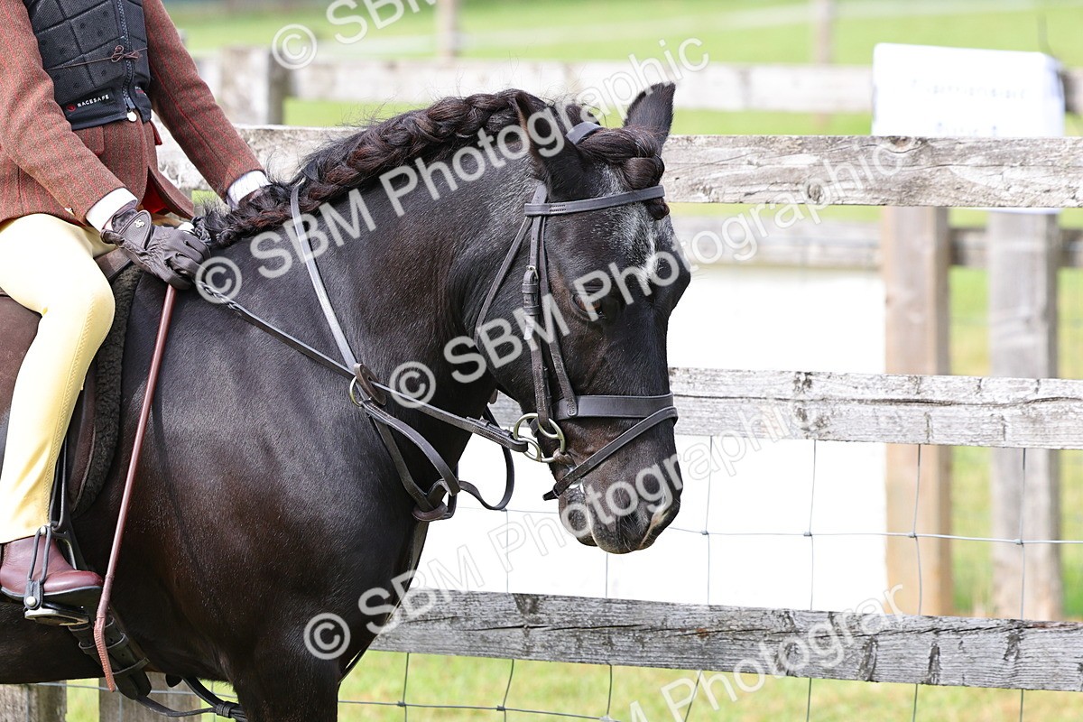 SBM_09627 - Class 44-45 - LIHS BSPS Open Nursery and Cradle Stakes
