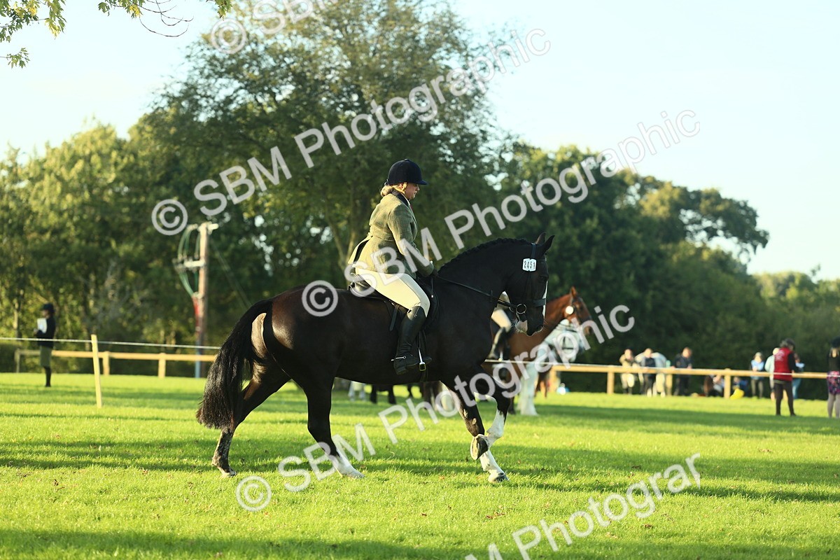 SBM_55521 - S14 - Riding Club Horse