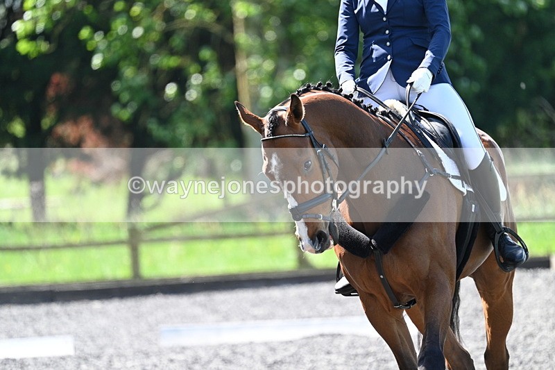 WJ7_9237 - Time 11:56 to 12:08