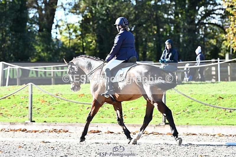 231110-112419-00400 - Cls 2 Prelim 17(a)Q