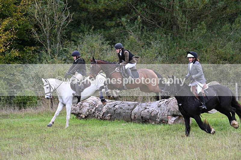 WJ7_3901 - Camera 1 Line 1