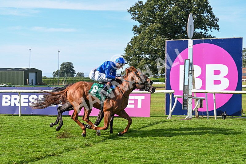 160924-Race 4-Watching Stars-2892 - Race 4