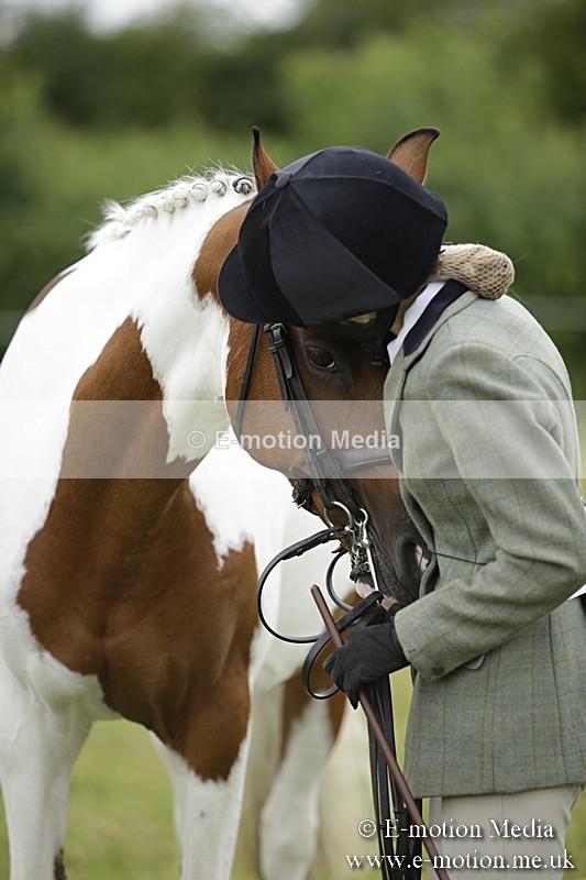 BVR160717-860 - Ring 2 BVRC Show 16/07/17