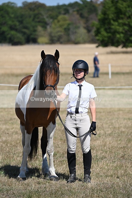 WJ6_8675 - Class 37b Best Loan Pony In-hand