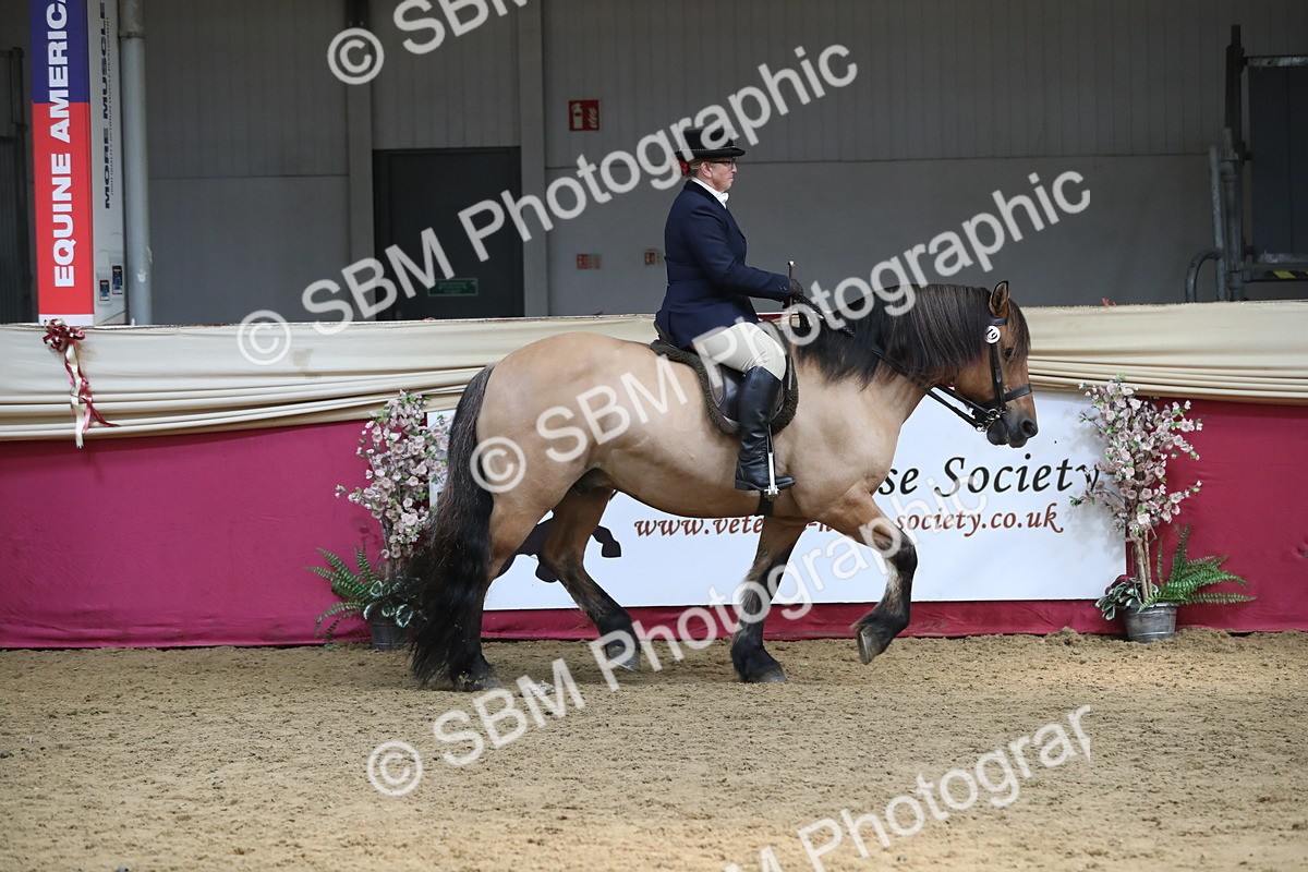 SBM_16273 - Class 502 M&M Ridden Supreme Final