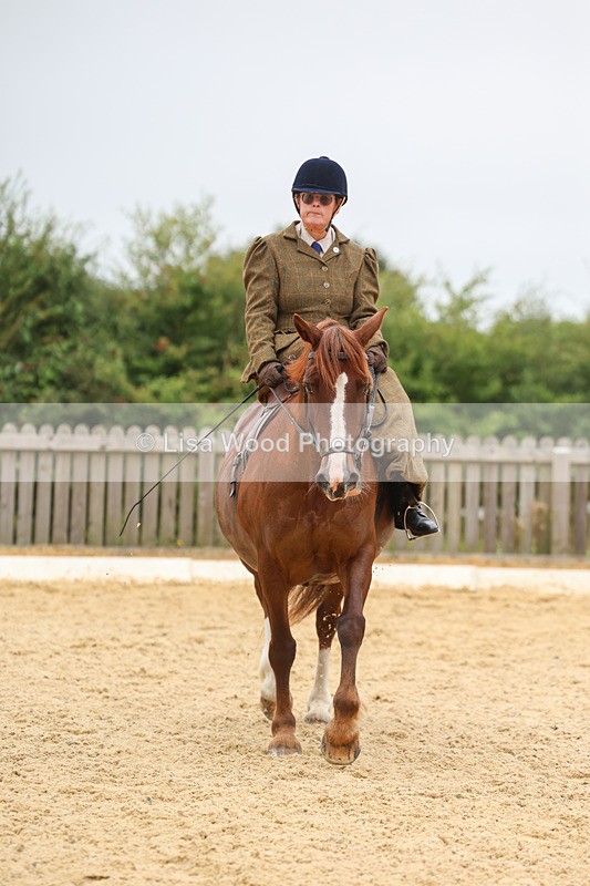 3E7A5492 - Class 2: Intro 4 2024 section B