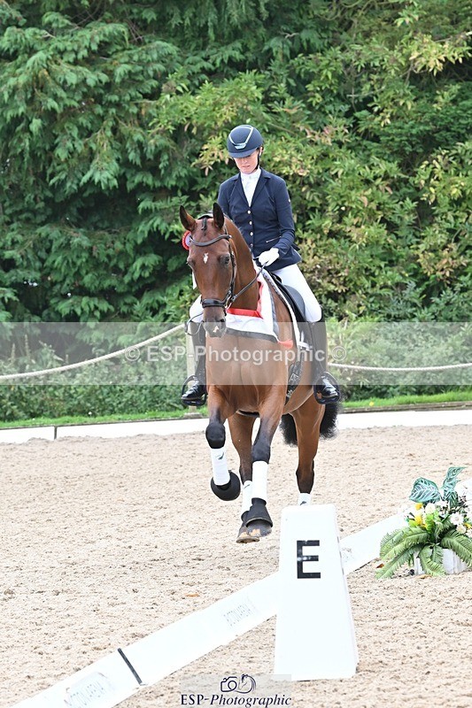 240811-132053-05892 - Adv Medium Silver