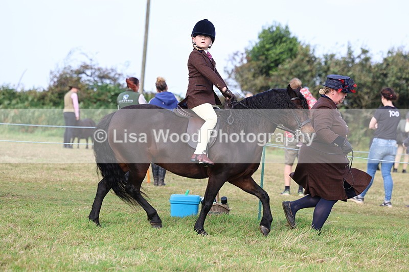 3E7A3417 - Class 2: Lead rein