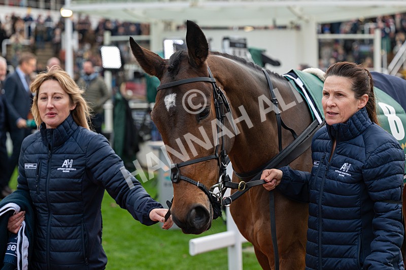 161125-Race 2-Kdeux Saint Fray-1309 - Race 2