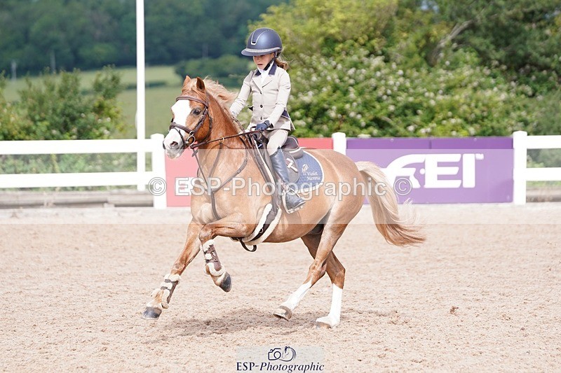 250628-094240-02923 - Cls 21 Stepping Stones