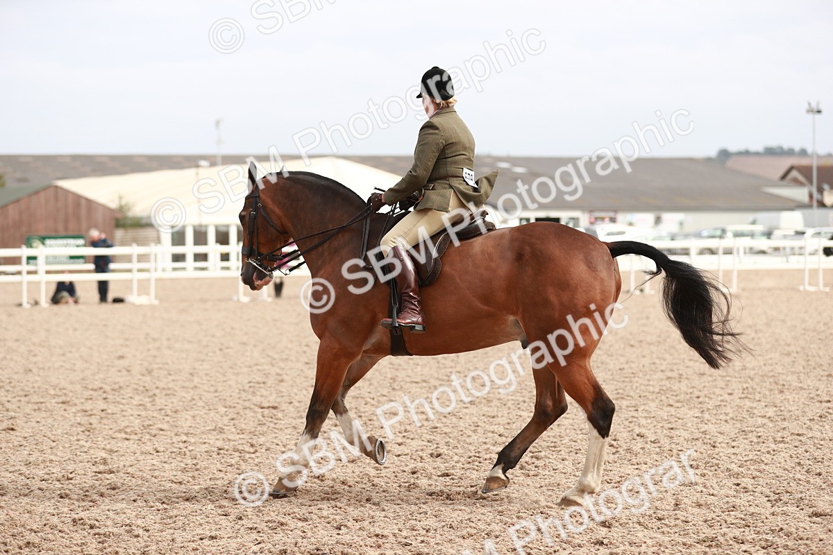 SBM_16809 - Class 214 Ridden Cob
