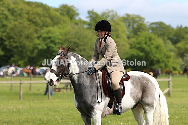 IMG_3305 - Working Hunter