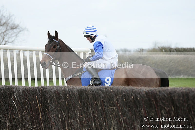 PtP 230319 55 - VWH Hunt Siddington Point-to-Point Racing 23/03/19