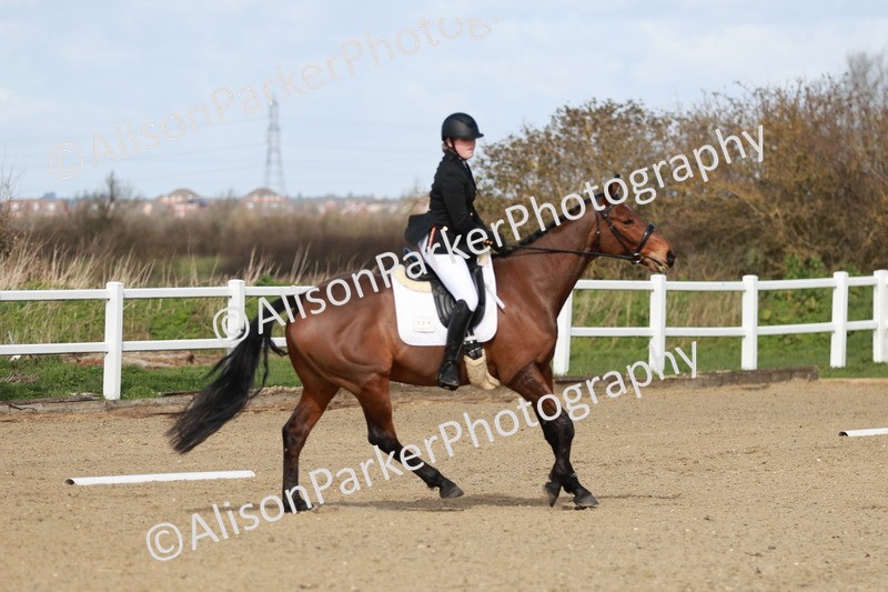 20260314-2797 - DR3 - Prelim 1