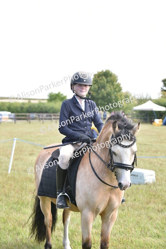 20250831-1891 - Class 9 - Absolute Novice 45cm