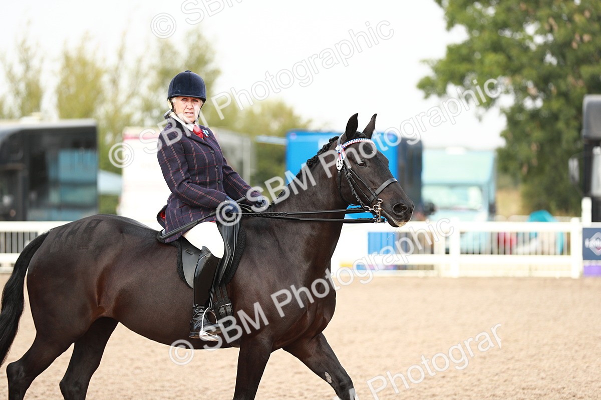 SBM_09407 - Class 202 Best Turned Out Ridden