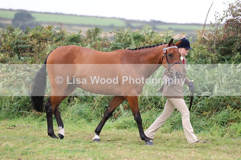 3E7A4312 - Class 15: Three Year Olds