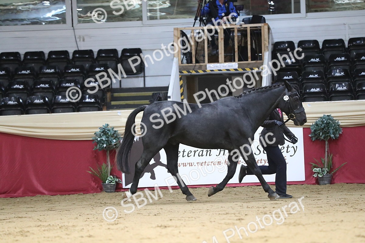 SBM_04356 - Class 7R Regional - IH Diamond