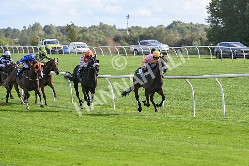080926-Race 3-Battenburg Belle-2260 - Race 3 3.03pm Fifth Regiment Royal Artillery Handicap (Div I)