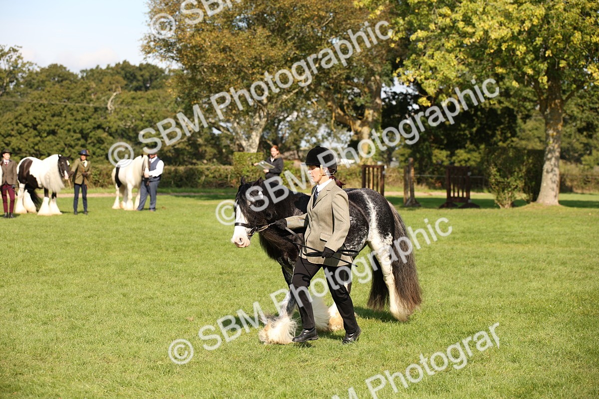 SBM_62254 - S55 - Traditional Cob In Hand