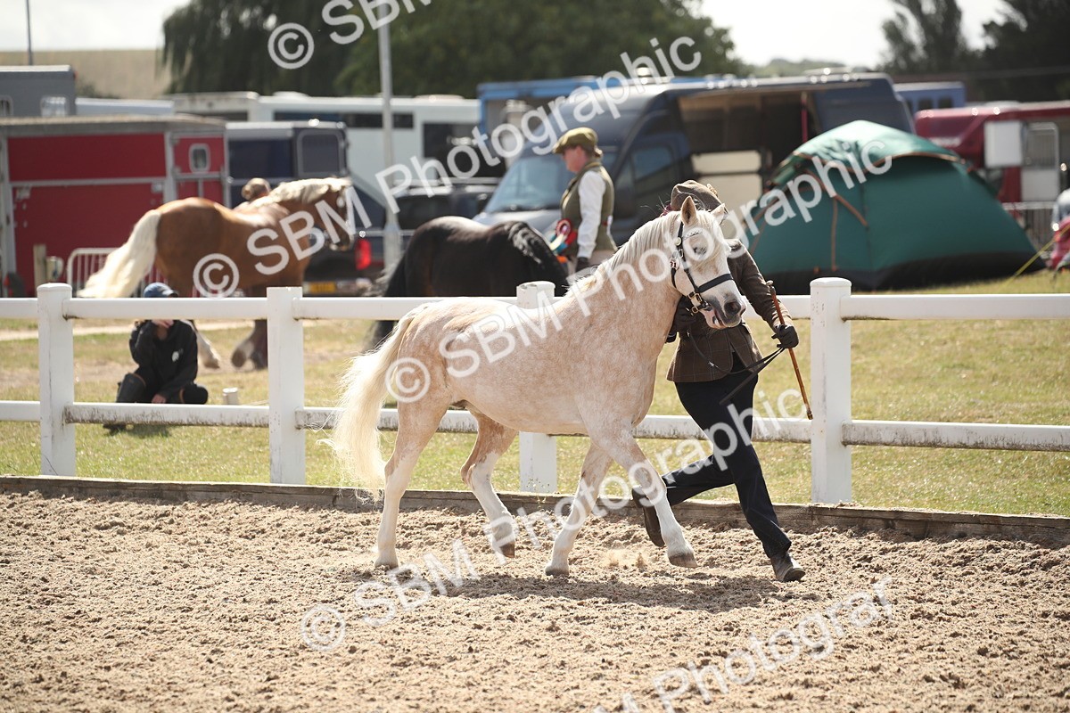 SBM_23383 - Class 604 - 2026 - Area IH Diamond