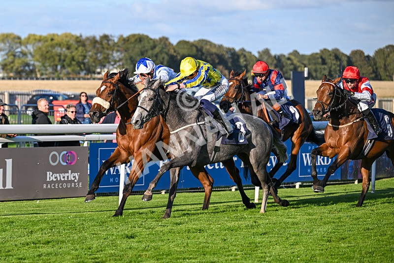 230925-Race 7-Hill O Rue-2466 - Race 7