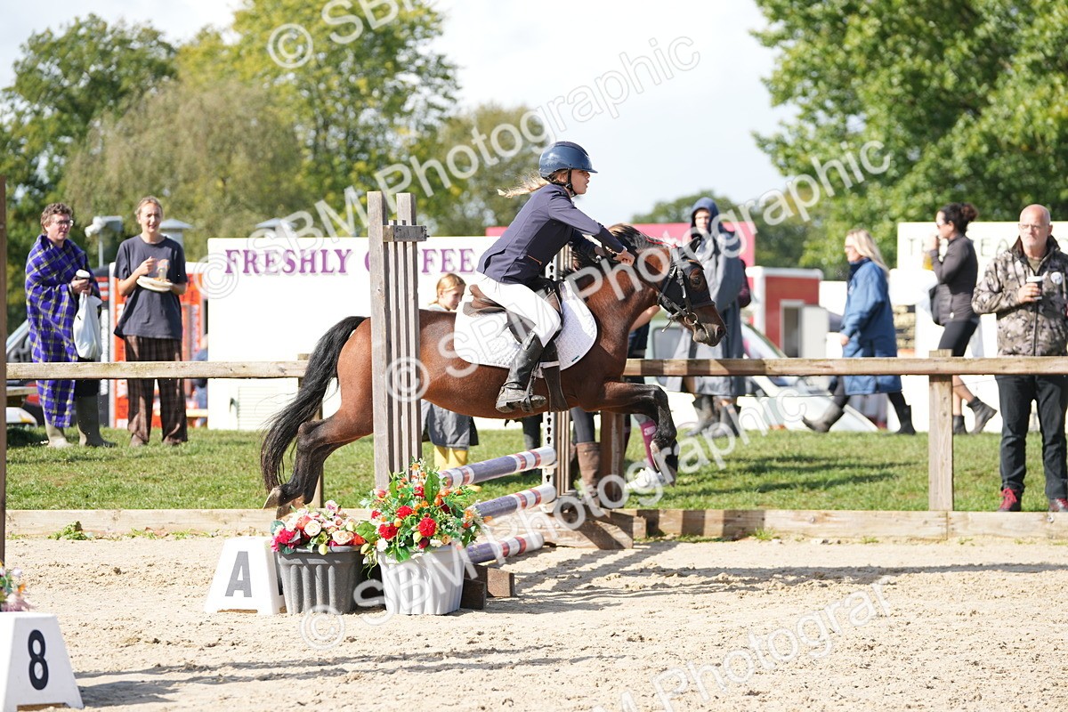 SBM_38464 - J6 - Junior Pony 55cm Championship