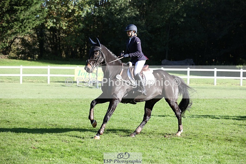 231022-105441-24828 - 657-WATERVALLEY.DIAMOND-Holly.Horton-TrotUp+SJ