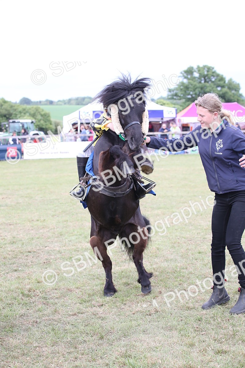 SBM_10170 - Dinky Derby