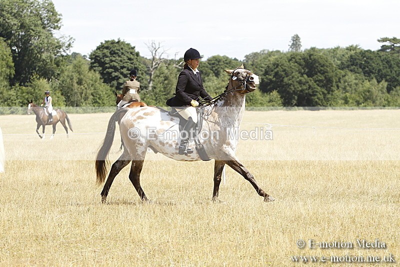 _BS_0737 - BVRC Show 2018 Ring 1