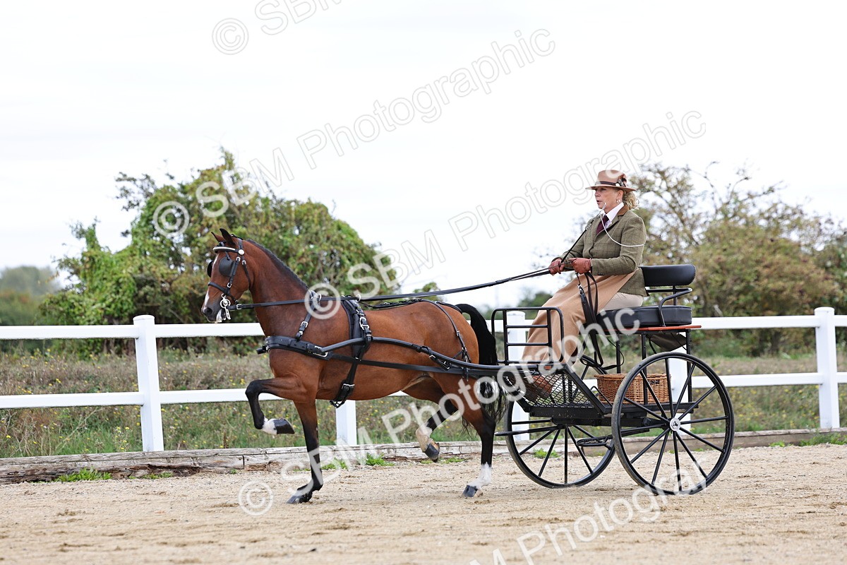 SBM_000279 - Class 2 - Exercise Vehicle 13.2hh & Under