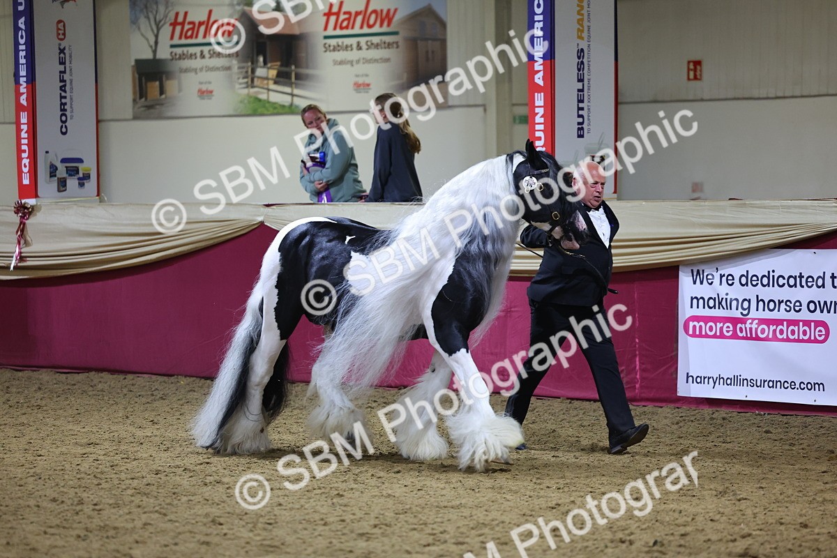 0B8A4772 - Class T Champion of Champions