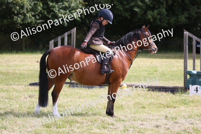 20260614-0490 - Class 20 - Beginners Working Hunter Pony