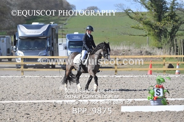 BPP_9875 - TEAM QUEST PRELIM 3