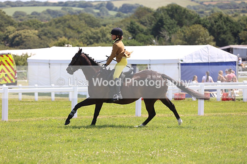 JPP_3074 - Class 22: Working Hunter 70cm