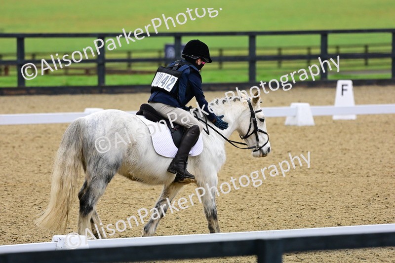 20260125-0540 - Class 9b - Walk Trot Unassisted