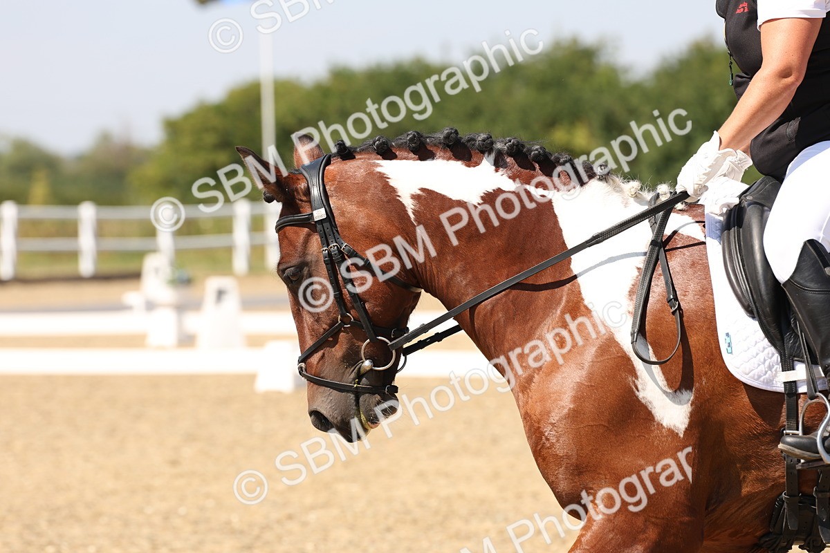 SBM_005616 - Prelim 4 - 13.34-15.39