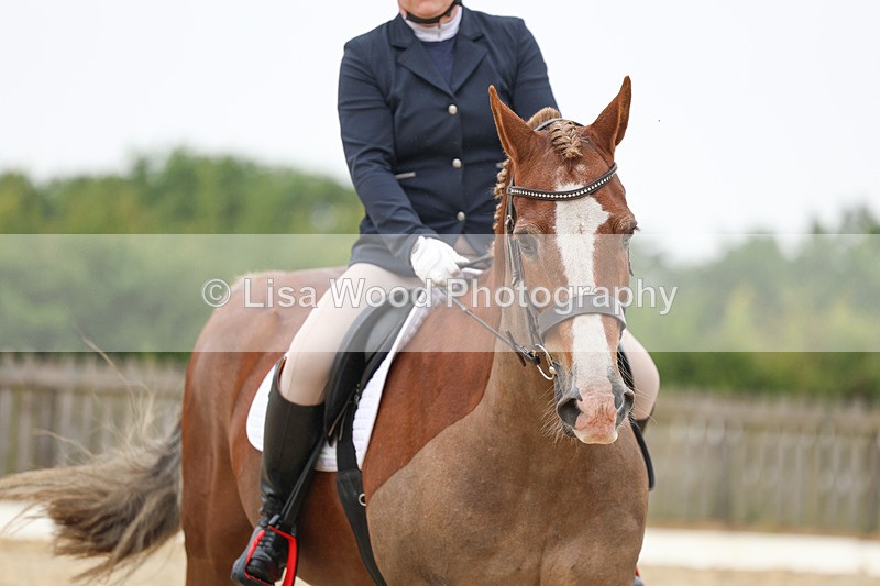 3E7A7996 - Class 1: Intro 3 2024 section A