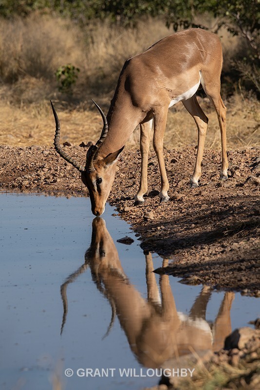  - Namibia