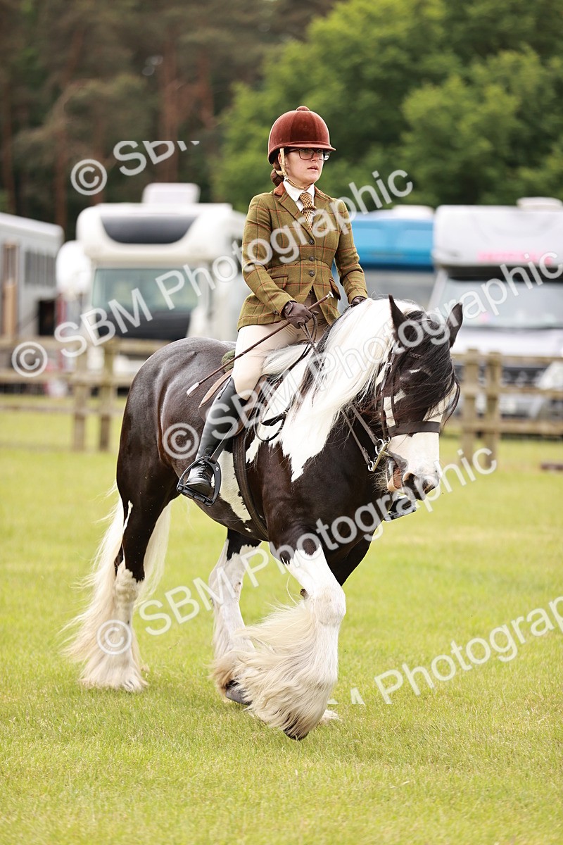 SBM_06136 - Class 39-41 TGCA In Hand and Ridden