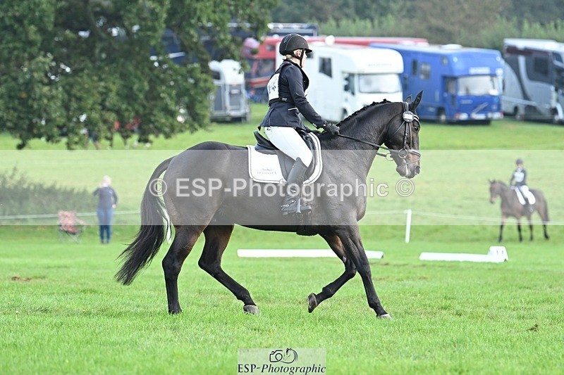 231020-094530-05751 - 464-IMPERIAL.TANGLE-Deborah.Burrell-DR