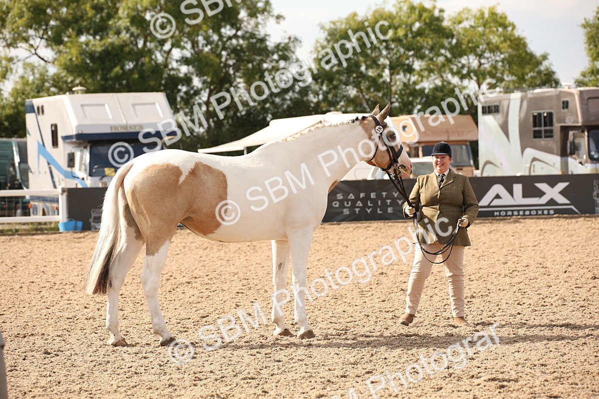 SBM_08174 - Class 27 - IH Competition Horse-Pony