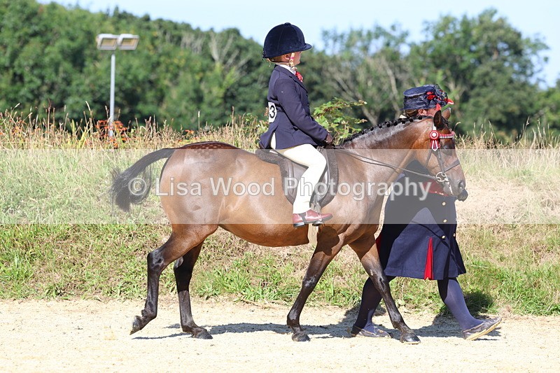 3E7A8011 - Class 15: Lead Rein