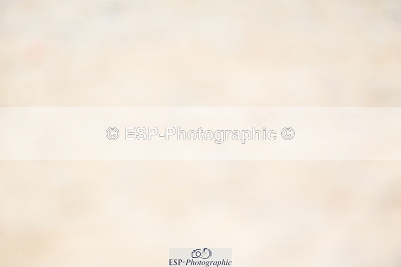 230813-104740-06429 - Cls 12 Elem Silver 10.35 to End